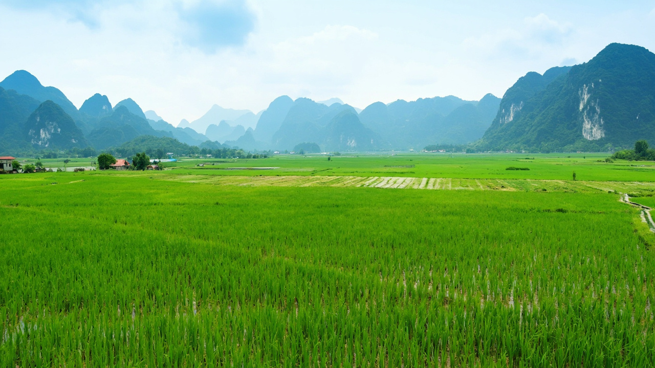 Guilin Yangshuo Travel Guide