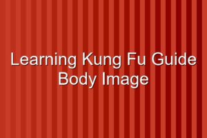 Learning Kung Fu Guide