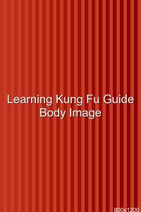 Learning Kung Fu Guide