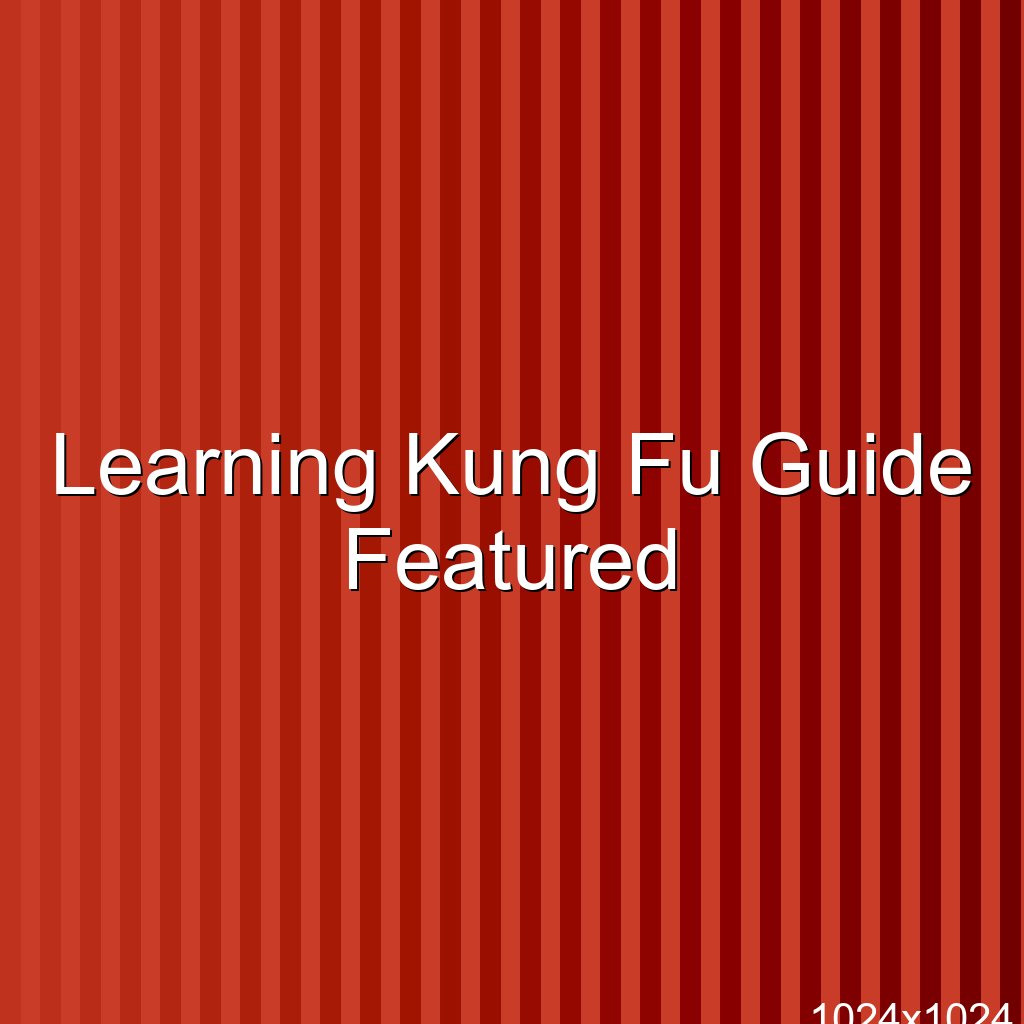 Learning Kung Fu Guide
