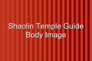 Shaolin Temple Guide